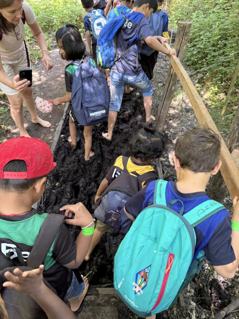 Primary Newsletter 23/05/2025