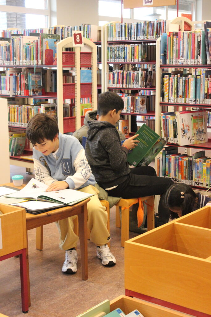 Primary Newsletter 14/11/2025