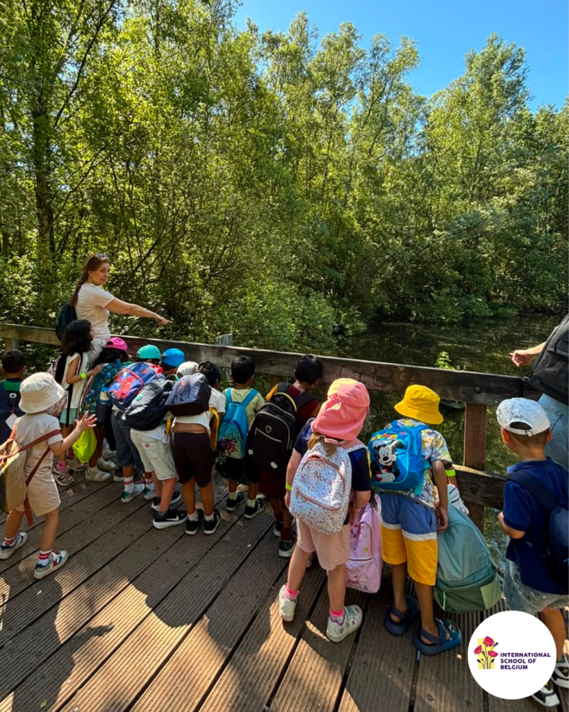 Primary Newsletter – 12/06/2026